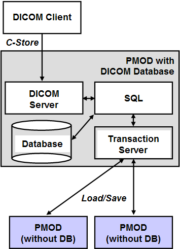 Back up cdr dicom database