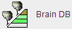 BrainDB Start Button